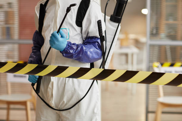 Professional Hoarding Cleanup technician working in Grandview, TX